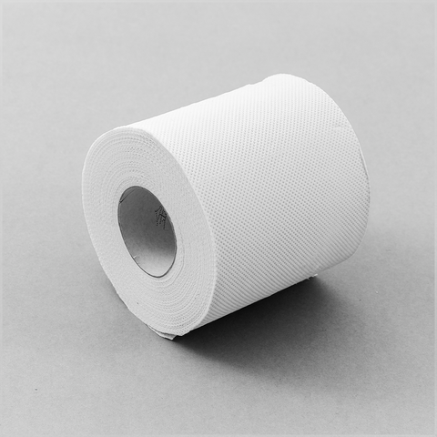 SRT4348 | 2 PLY Standard Toilet Paper Roll - 48 Rolls