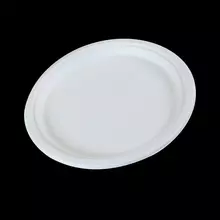 BRP-10-compostable-10-inch-round-plate-BRP-10-cnpyinc-com-canada